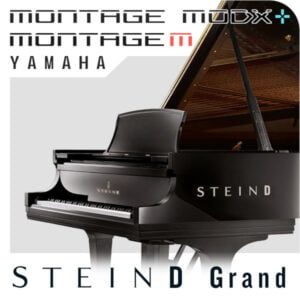 SteinD Grand for Yamaha MONTAGE, MODX, MODX+