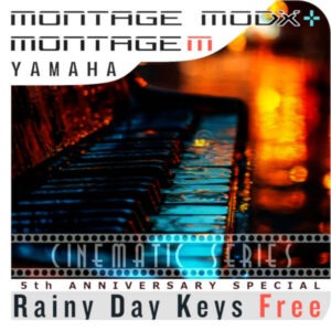 Rainy Day Keys for MONTAGE, MODX, MODX+